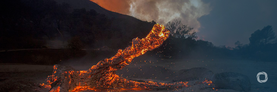 ADB gives $200,000 grant to help in Vanuatu volcano disaster response ADB gives $200,000 grant to help in Vanuatu volcano disaster response