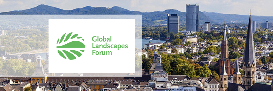 GLF Bonn 2017