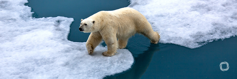 UN ready to pursue new treaty to protect high seas