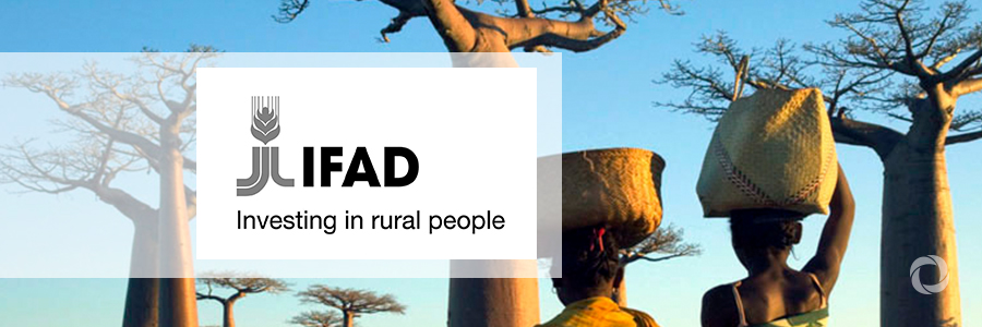 Madagascar signs a US$ 53 million financing agreement with IFAD Madagascar signs a US$ 53 million financing agreement with IFAD