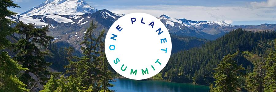 Two years after Paris, the One Planet Summit aims to galvanize new action on climate change