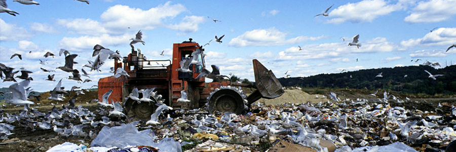 Careless disposal of antibiotics could produce ‘ferocious superbugs,’ UN environment experts warn Careless disposal of antibiotics could produce ‘ferocious superbugs,’ UN environment experts warn