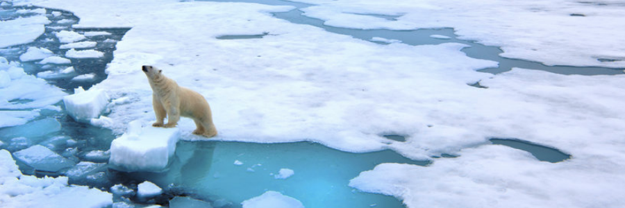 Arctic forever changed by rapidly warming climate Arctic forever changed by rapidly warming climate