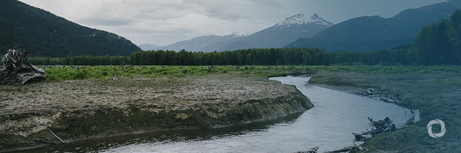 UNESCO launches a pioneering tool to monitor water quality UNESCO launches a pioneering tool to monitor water quality