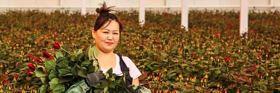 EBRD and EU launch Regional Small Business Programme for Central Asia EBRD and EU launch Regional Small Business Programme for Central Asia