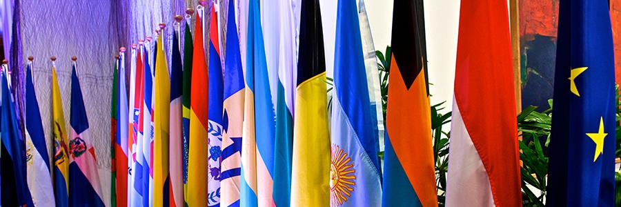 CARICOM, UN Environment discuss closer cooperation CARICOM, UN Environment discuss closer cooperation