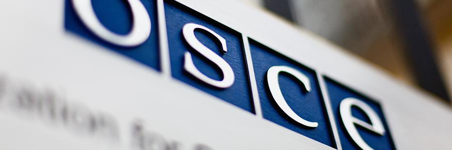 OSCE PA President stresses support for Ukraine, urges ceasefire as critical step to save lives OSCE PA President stresses support for Ukraine, urges ceasefire as critical step to save lives