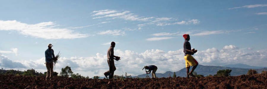 Taking on environmental health risks, UN agencies aim to protect 'foundations for life' on Earth