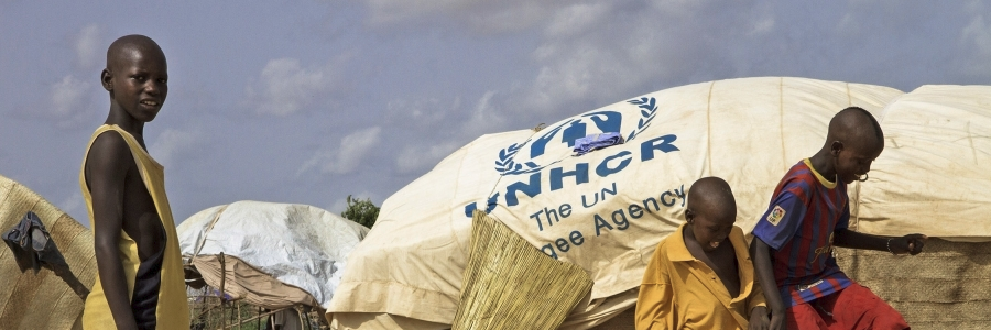 942 Chadians refugees return home from Darfur with UNHCR support 942 Chadians refugees return home from Darfur with UNHCR support