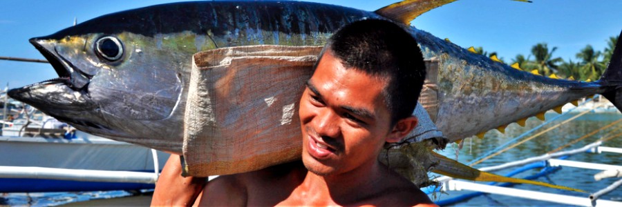 Making fish protein available, accessible and affordable in the Philippines