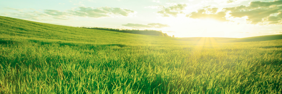 Commission tells Malaysia proposed biofuel policy respects WTO rules Commission tells Malaysia proposed biofuel policy respects WTO rules