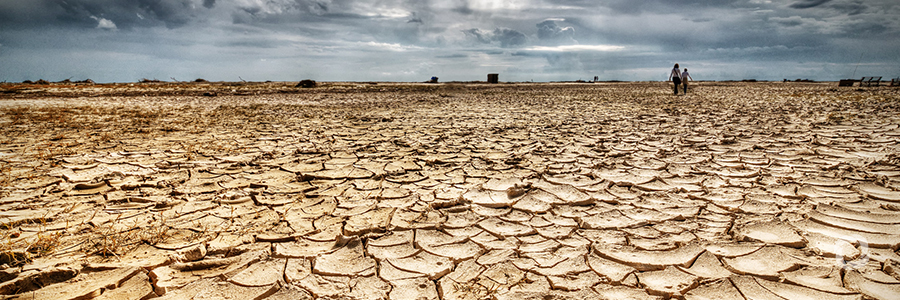 Dry spells, fall armyworm raise concerns about food security in Southern Africa Dry spells, fall armyworm raise concerns about food security in Southern Africa