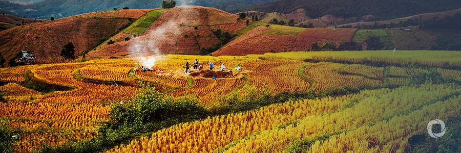 How to win a fight against soil erosion: nuclear science helps farmers in Morocco