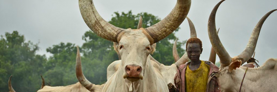 South Sudan clans agree to end deadly grazing land dispute South Sudan clans agree to end deadly grazing land dispute