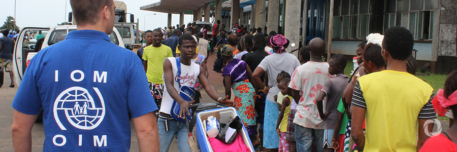 IOM publishes pilot portfolio in international aid transparency initiative registry