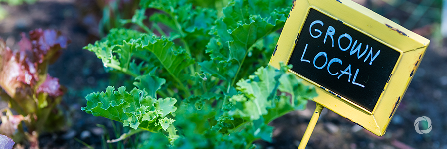OECD and FAO call for responsible investment in agriculture OECD and FAO call for responsible investment in agriculture