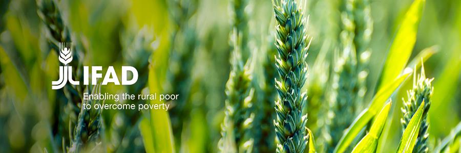 IFAD and Indonesia invest US$55 million to sustainably improve smallholder farmers` incomes and livelihoods
