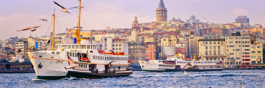Turkey: health cluster bulletin - January 2018 Turkey: health cluster bulletin - January 2018