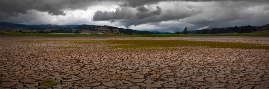 Halting deforestation – a critical contribution from the EU Halting deforestation – a critical contribution from the EU