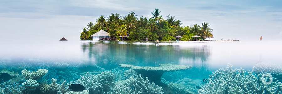 Bahrain steps up to save our oceans by joining #CleanSeas