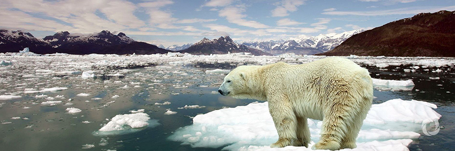Arctic meetings boost meteorological cooperation Arctic meetings boost meteorological cooperation
