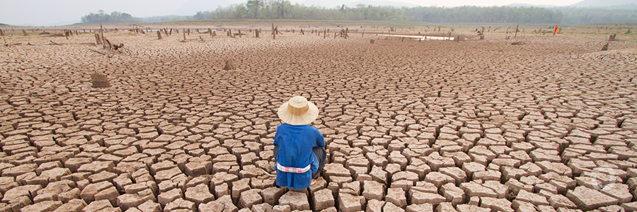 World Bank report: climate change could force over 140 Million to migrate within countries by 2050