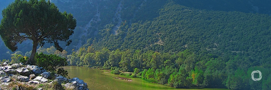 Green Climate Fund approves WFP-led project for climate change adaptation in Tajikistan Green Climate Fund approves WFP-led project for climate change adaptation in Tajikistan