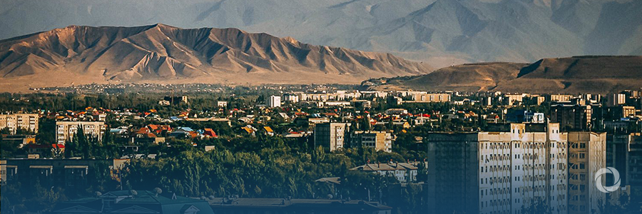 Donor Activity in the Kyrgyz Republic (Special Report) Donor Activity in the Kyrgyz Republic (Special Report)