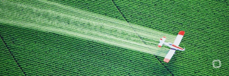 World Bank lays out vision for cleaner, safer agriculture in East Asia