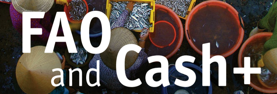 FAO and Cash+: How to maximize the impacts of cash transfers FAO and Cash+: How to maximize the impacts of cash transfers