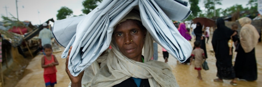 IOM, FAO to support agricultural livelihoods, forestry on Bangladesh-Myanmar border IOM, FAO to support agricultural livelihoods, forestry on Bangladesh-Myanmar border