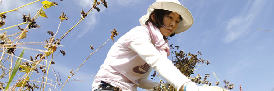 The world needs to live up to promises made on biodiversity. Here’s how The world needs to live up to promises made on biodiversity. Here’s how
