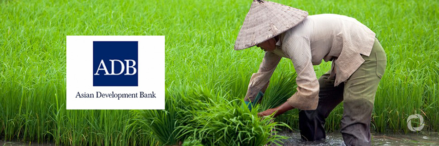 ADB, Kingenta partner to promote modern agricultural services in the PRC