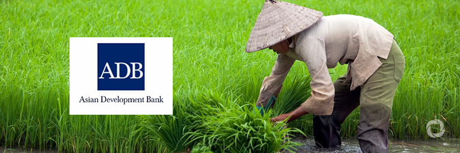ADB, Kingenta partner to promote modern agricultural services in the PRC