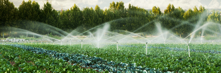 IFAD leads on sustainable farming on World Water Day