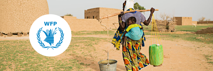 Japan provides WFP with US$2.5 million to fight malnutrition in Chad's Sahel Japan provides WFP with US$2.5 million to fight malnutrition in Chad's Sahel