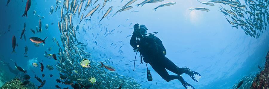 Experts propose method to monitor marine ecosystem health