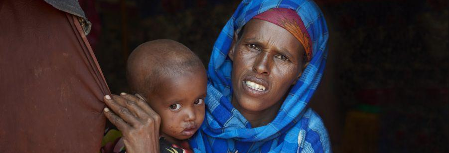 Somali region durable solutions strategy 2017-2020