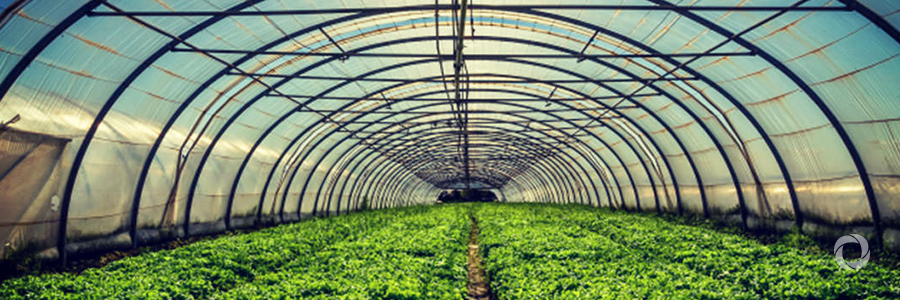 Modern agriculture is changing the lives of Afghan farmers Modern agriculture is changing the lives of Afghan farmers