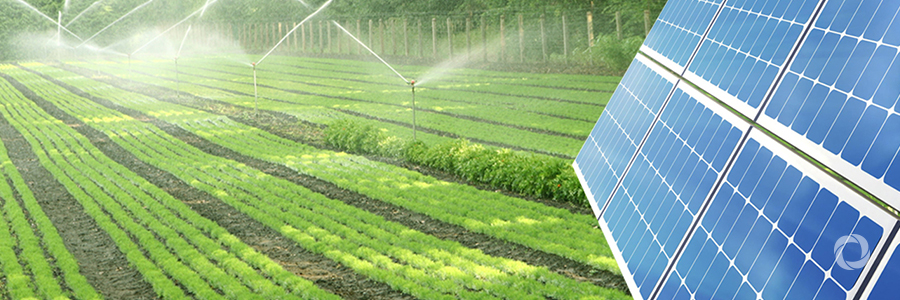 Positive prospects for solar-powered irrigation systems Positive prospects for solar-powered irrigation systems