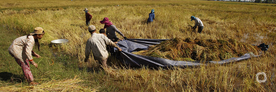 IFAD pledges $64 million in concessional loans IFAD pledges $64 million in concessional loans