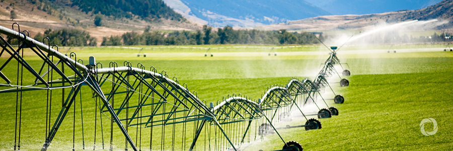World Bank offers US$140 million to support irrigated agriculture in Tunisia World Bank offers US$140 million to support irrigated agriculture in Tunisia
