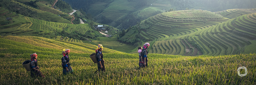 IFAD and China invest US$256.7 million to reduce poverty and improve incomes for smallholder farmers in Qinba Mountains IFAD and China invest US$256.7 million to reduce poverty and improve incomes for smallholder farmers in Qinba Mountains