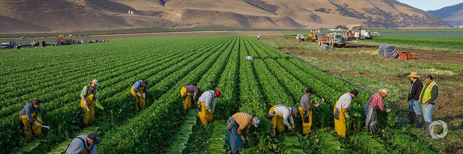 World Bank promotes agricultural risk management to benefit the most vulnerable producers World Bank promotes agricultural risk management to benefit the most vulnerable producers