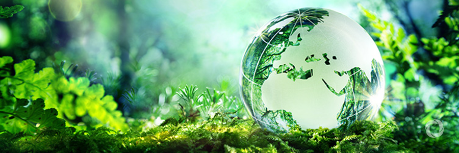 Pacific private sector for greener economies, strengthened partnerships with Governments Pacific private sector for greener economies, strengthened partnerships with Governments