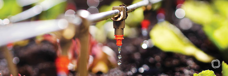 Innovative technologies need to reach African farmers for agricultural transformation to happen Innovative technologies need to reach African farmers for agricultural transformation to happen