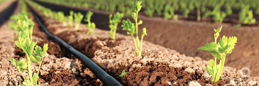 Better irrigation and water management to help Tajik farmers increase their crop yield, improve rural livelihoods Better irrigation and water management to help Tajik farmers increase their crop yield, improve rural livelihoods