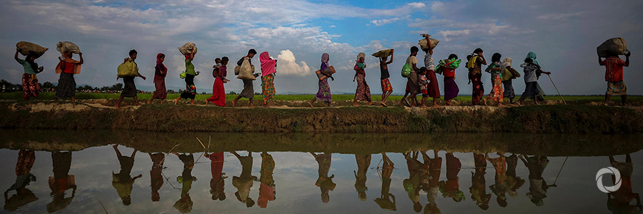 The Rohingya crisis: FAO is supporting refugees and host communities The Rohingya crisis: FAO is supporting refugees and host communities