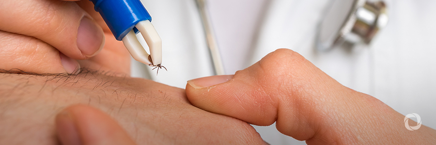 CDC issues warning on bug-borne diseases in wake of new report CDC issues warning on bug-borne diseases in wake of new report