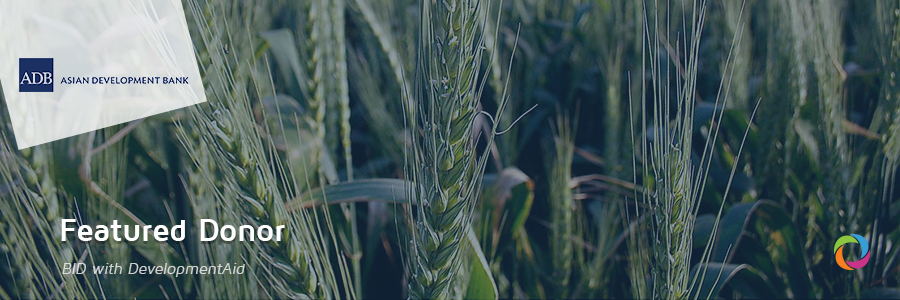 Get to know our donors: Irrigation canal makes the desert bloom in Pakistan's Punjab